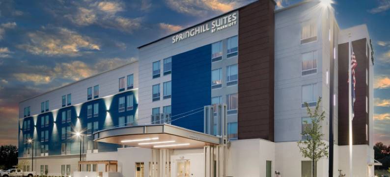 夏洛特机场莱克波因特SpringHill Suites酒店(SpringHill Suites Charlotte Airport Lake Pointe)图片