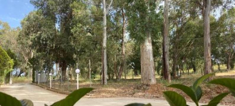 Appartamento D & D图片