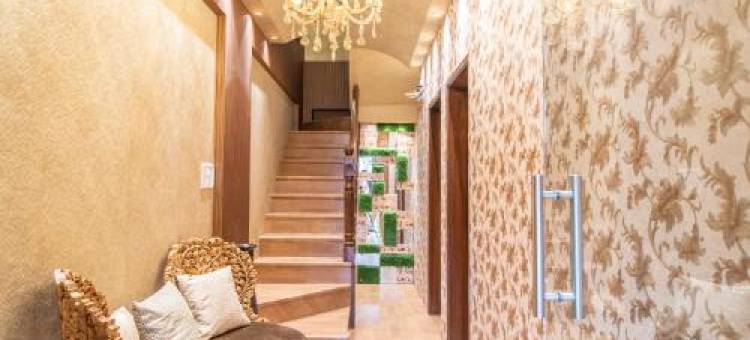 ONN栖身处旅馆(Onn Shelter Inn)图片