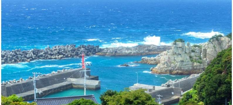 足摺国际酒店(Ashizuri Kokusai Hotel)图片