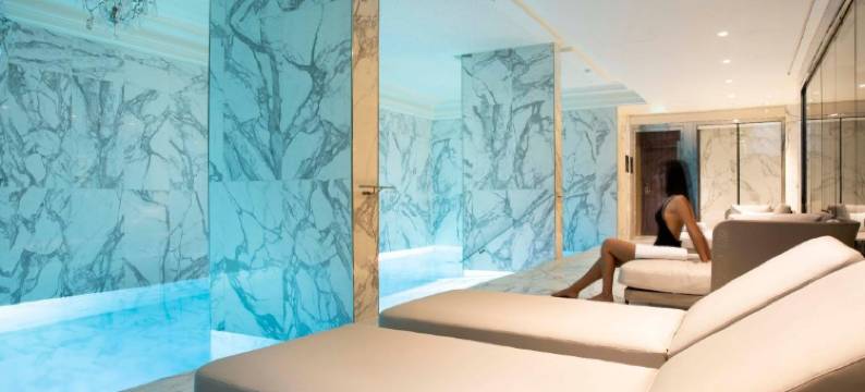 巴黎8区达马旦水疗酒店(塞纳河畔，近大皇宫)(Le Damantin Hotel & Spa)图片