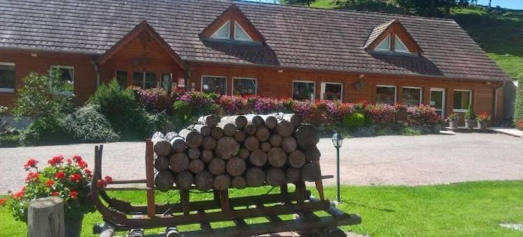 小旅馆酒店(Logis Hôtel Restaurant la Petite Auberge Alsace)图片