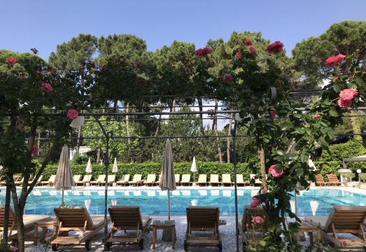 Hotel GreifHotel Overview