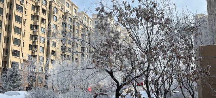沈阳途乐公寓图片