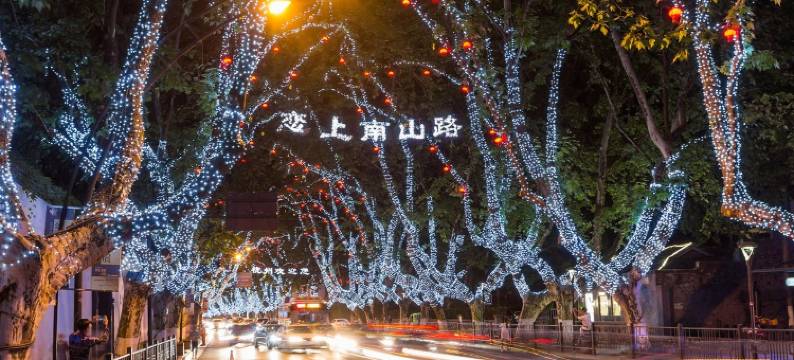 梧桐影公寓(南山路1号分店)图片