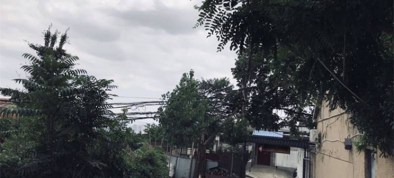 泰山景区宁馨民居(观光路分店)图片