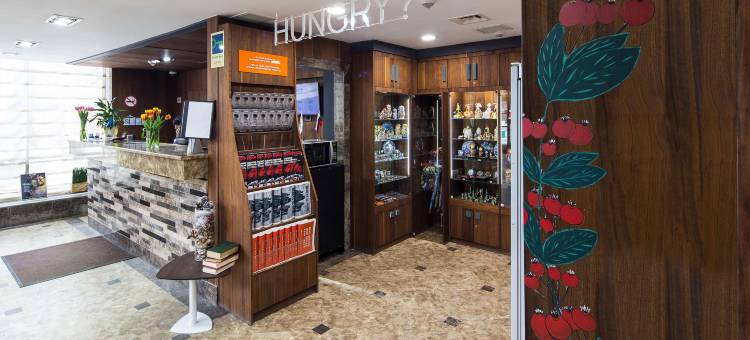 莫斯科伊兹麦罗瓦丽柏酒店(Park Inn by Radisson Izmailovo Moscow)图片