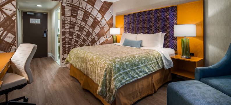 多伦多机场卡灵威尔贝斯特韦斯特精品酒店(Best Western Premier Toronto Airport Carlingview Hotel)图片