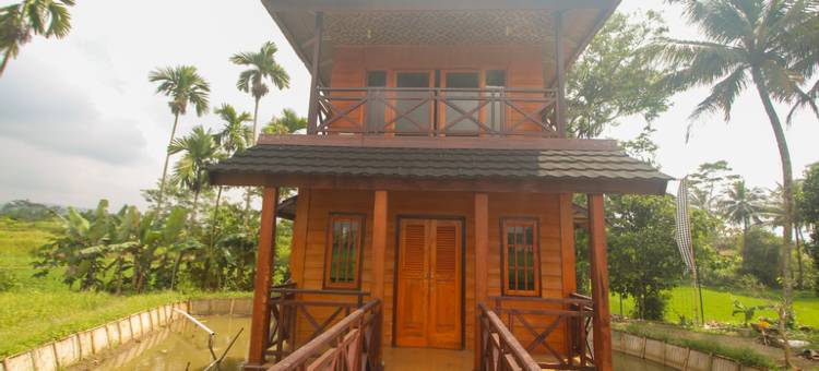 Jajapin Kancra Kayaking图片