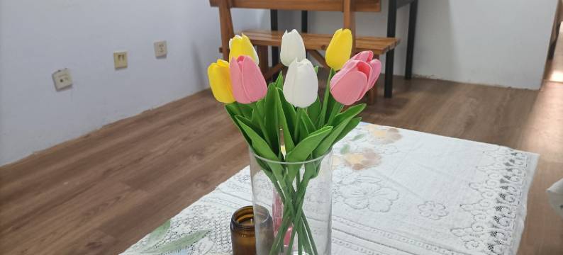 小鹿姐公寓(商场东街分店)图片