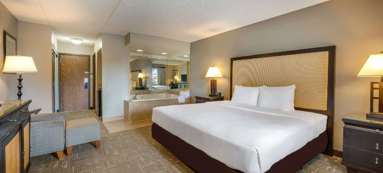 好客贝斯特韦斯特酒店(Best Western Detroit Livonia)图片