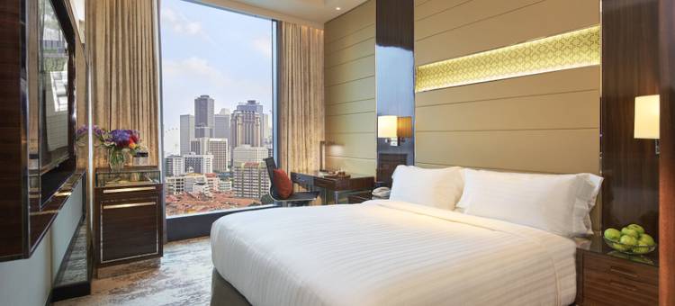 新加坡小印度假日酒店 - IHG 旗下酒店(Holiday Inn SINGAPORE LITTLE INDIA by IHG)图片