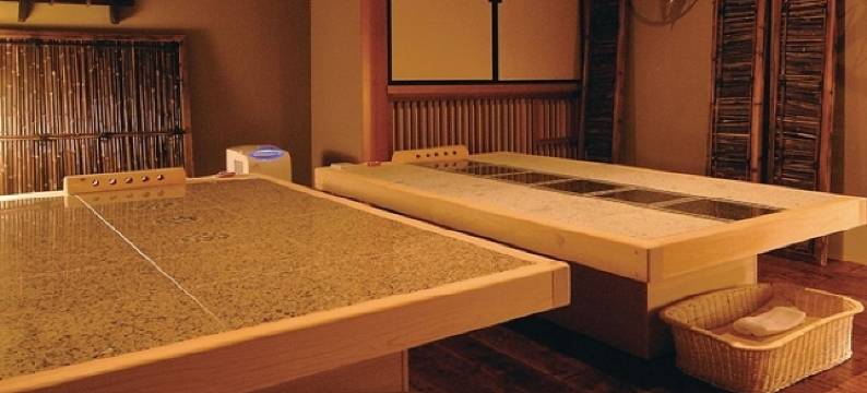 下吕皇家酒店 雅亭(Gero Onsen Gero Royal Hotel Miyabitei)图片