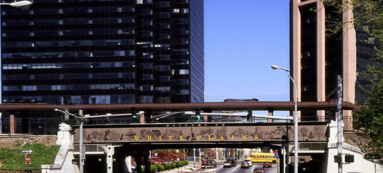 怀特普莱恩斯威彻斯特县Residence Inn 酒店(Residence Inn White Plains Westchester County)图片
