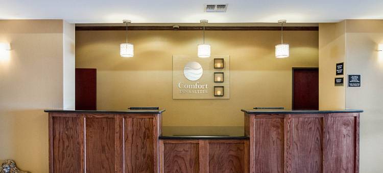 蒙那汉斯 I-20 舒适套房酒店(Comfort Inn & Suites Monahans I-20)图片