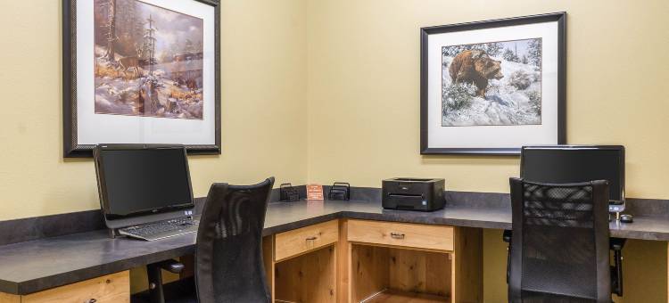 威利斯顿美茵斯坦套房酒店(MainStay Suites Williston)图片