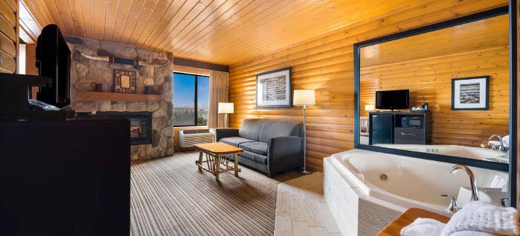 绿洲公园贝斯特韦斯特酒店(Best Western Park Oasis Inn)图片