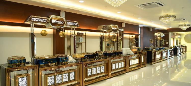 布鲁艾维酒店(Hotel Blueivy Anand)图片