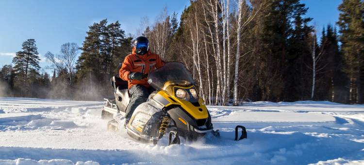 伊什珀明贾斯珀里奇酒店(Jasper Ridge Inn Ishpeming)图片