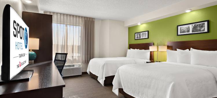 红色精选系列SPOT X酒店坦帕-韦斯利教堂(SPOT X Hotel Tampa - Wesley Chapel by The Red Collection)图片