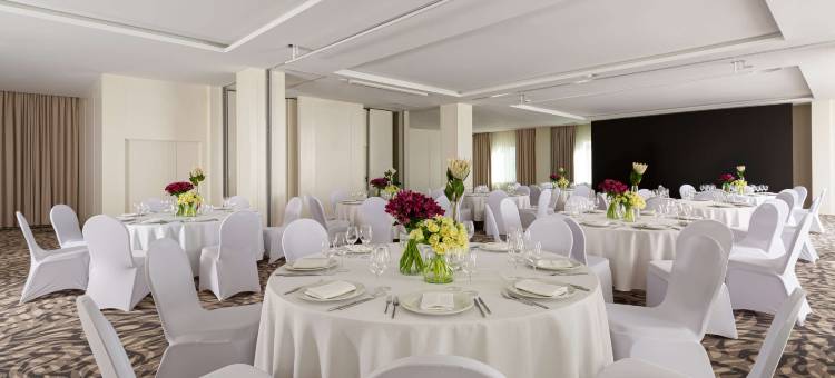 乌里扬诺夫斯克丽笙酒店(Radisson Hotel Ulyanovsk)图片