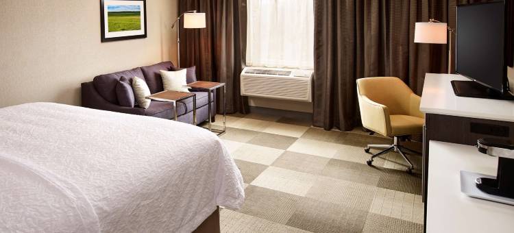 希尔顿欢朋酒店-萨尼亚/爱德华角(Hampton Inn by Hilton Sarnia)图片