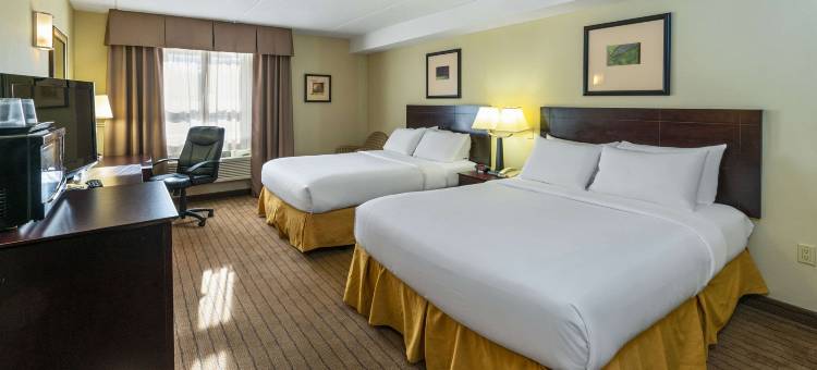的舒适酒店和套房(Comfort Inn & Suites)图片