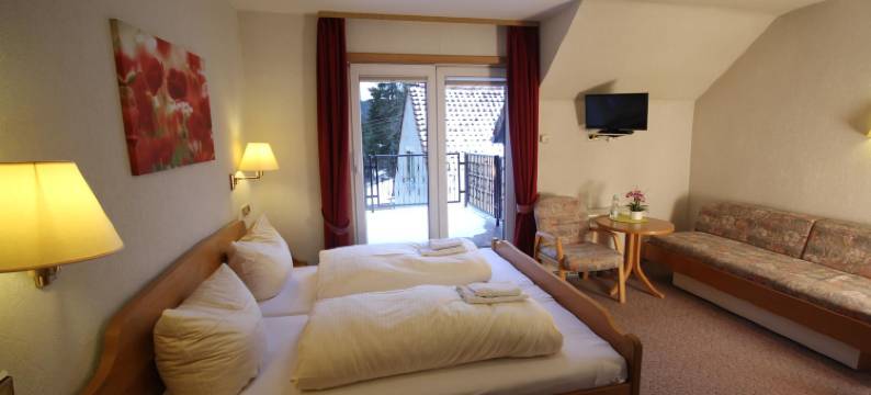 德鲁伊登斯泰恩酒店及餐厅(Hotel & Restaurant Druidenstein)图片