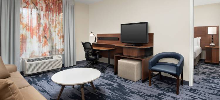 巴尔的摩华盛顿国际机场万枫酒店(Fairfield Inn & Suites Baltimore BWI Airport)图片