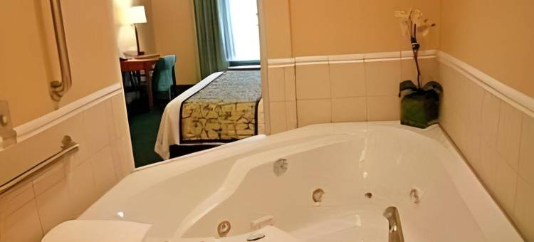 万枫托莱多北套房酒店(Fairfield by Marriott Inn & Suites Toledo North)图片