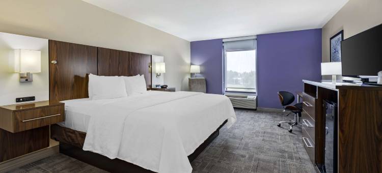 X世代贝斯特韦斯特优质酒店(Best Western Plus Gen X Inn)图片