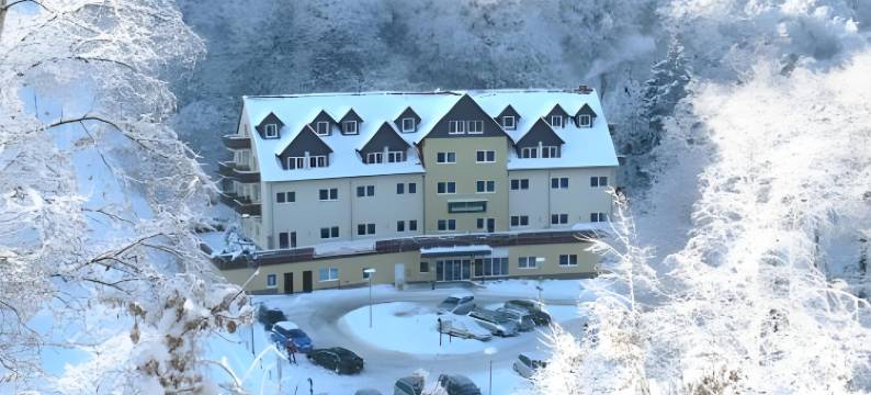 驰安泽豪韦尼格罗德瑞吉奥酒店(Regiohotel Schanzenhaus Wernigerode)图片