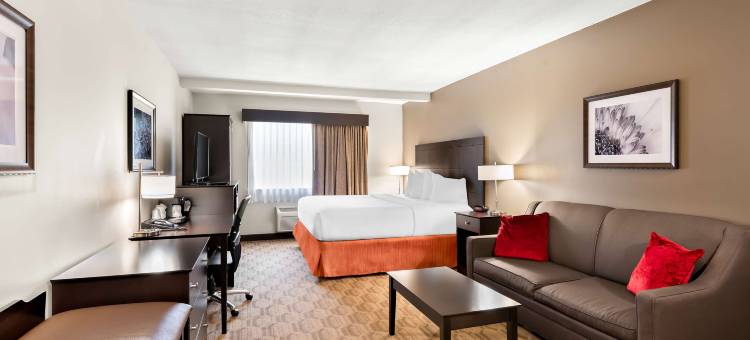 巴尔米拉贝斯特韦斯特套房酒店(Best Western Palmyra Inn  Suites)图片