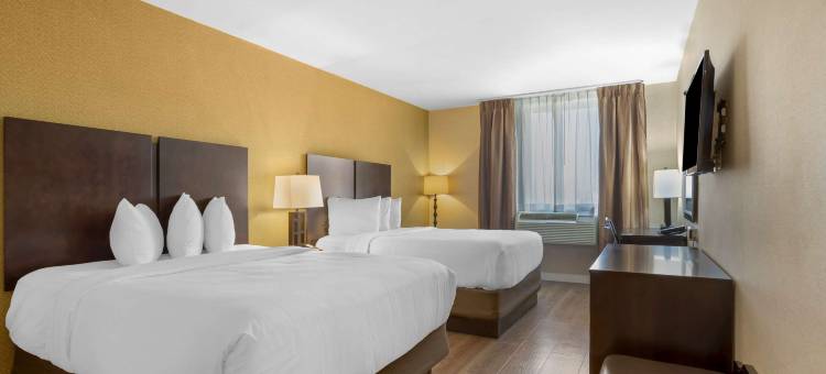 Best Western Plus Plaza Hotel图片