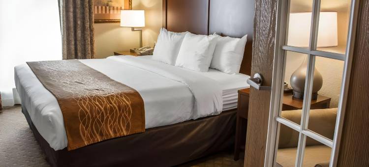 拉克兰海洋世界舒适套房酒店(Comfort Suites Near Seaworld)图片