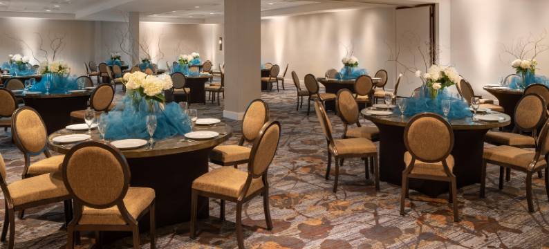 达拉斯喜来登画廊酒店(Sheraton Dallas Hotel by the Galleria)图片