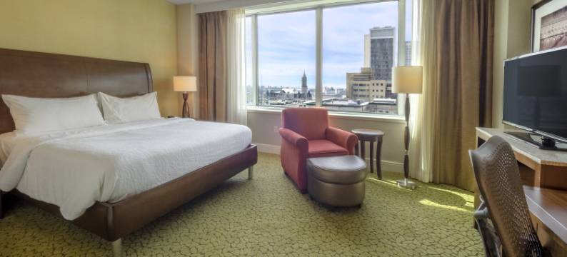 布法罗市区希尔顿花园酒店(Hilton Garden Inn Buffalo Downtown)图片