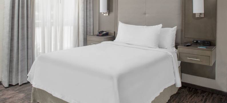 达拉斯欧文Homewood套房酒店-拉斯科琳娜酒店(Homewood Suites by Hilton Dallas - Irving/Las Colinas)图片