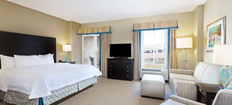 希尔顿欢朋套房酒店-圣彼得斯堡市区(Hampton Inn & Suites St. Petersburg/Downtown)图片