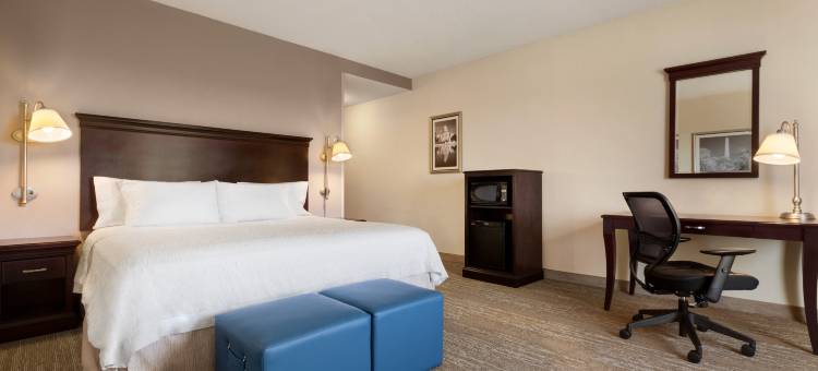 华盛顿杜勒斯国际机场酒店欢朋套房酒店(Hampton Inn & Suites Washington-Dulles International Airport)图片