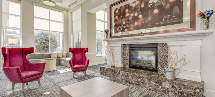 华尔道夫希尔顿花园酒店(Hilton Garden Inn Waldorf)图片