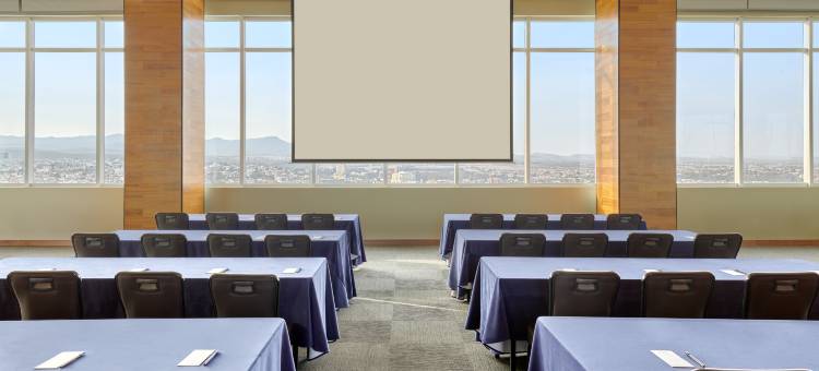 圣路易波托西美洲嘉年华酒店(Fiesta Americana San Luis Potosi)图片