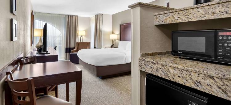 舒适套房酒店(Comfort Suites)图片