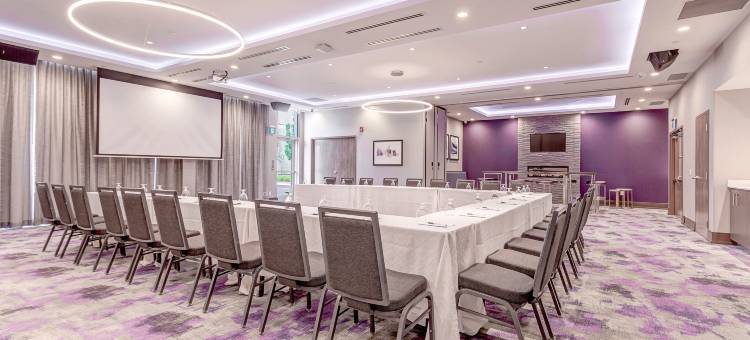 多伦多布兰普顿西希尔顿花园酒店(Hilton Garden Inn Toronto/Brampton West)图片