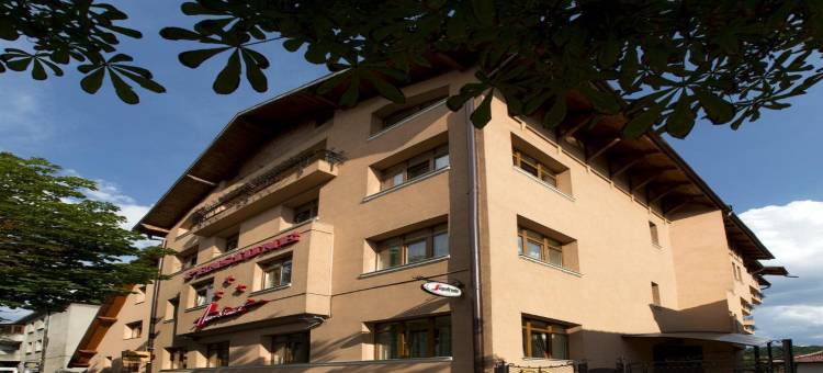 安姆比恩特膳食公寓酒店(Pensiunea Ambient)图片