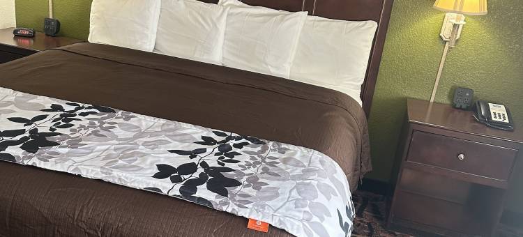 罗德威酒店(Executive Inn)图片