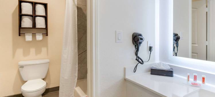 休斯顿西北 - 塞浦路斯伊克诺旅馆(Econo Lodge Houston Northwest - Cypress)图片