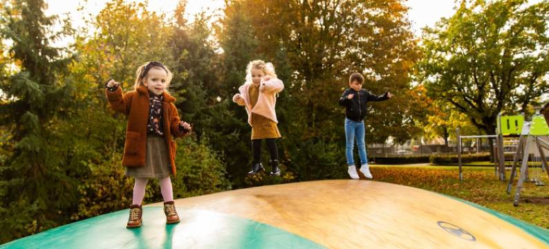 家庭别墅 + 桑拿房和日光室(Family Villa + Sauna & Sunroom)图片