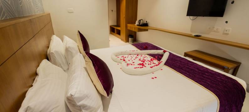 瓦尔达酒店(Hotel Vardha Inn)图片