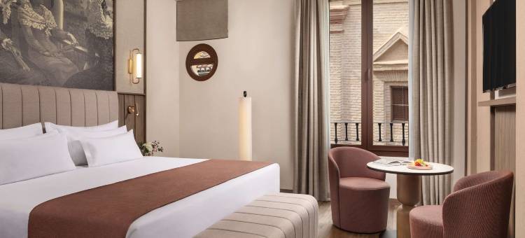 维多利亚NH系列酒店(NH Collection Granada Victoria)图片